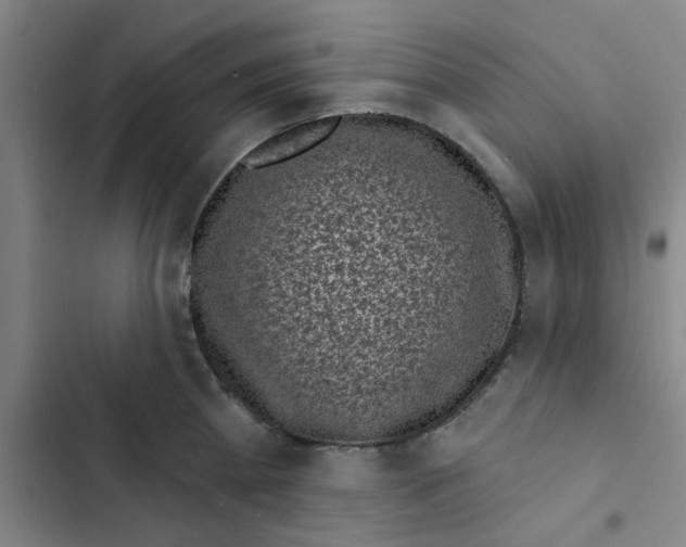 X0000102830809200809151038