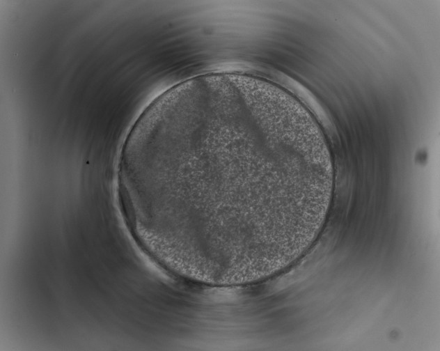 X0000102830810200809151038
