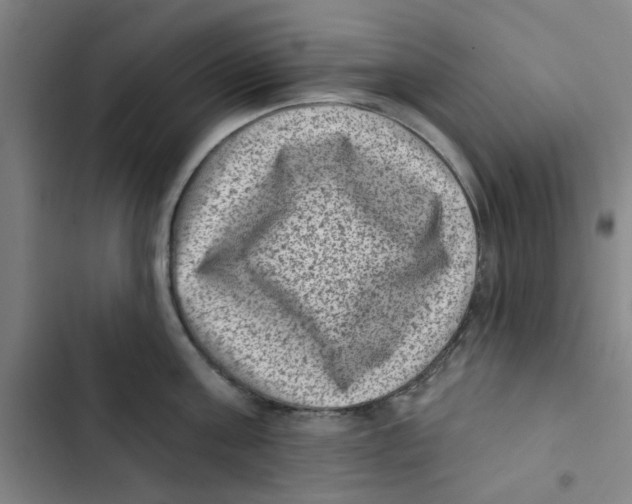 X0000102830811200809151038