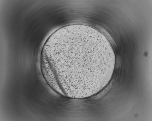 X0000102830812200809151038
