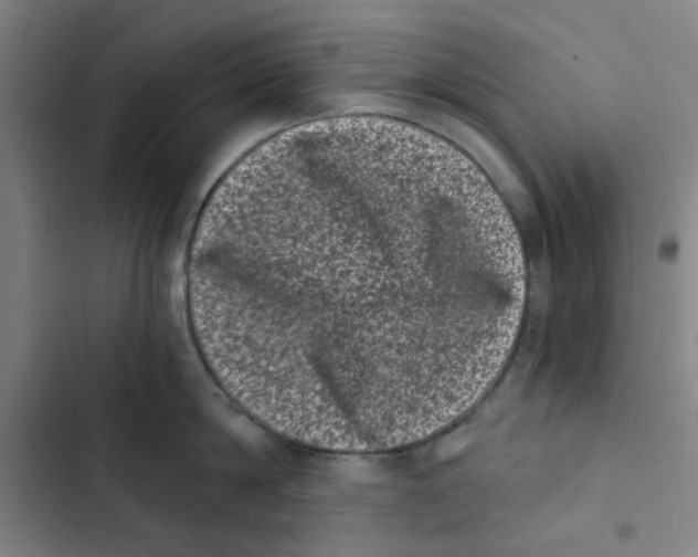 X0000102830814200809151038