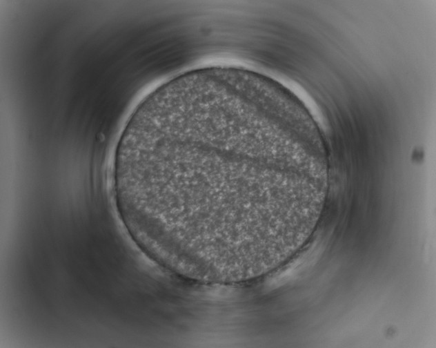 X0000102830815200809151038