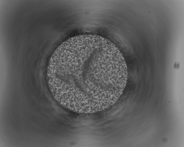 X0000102830817200809151037
