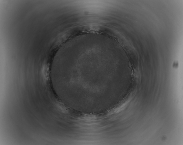 X0000102830818200809151037