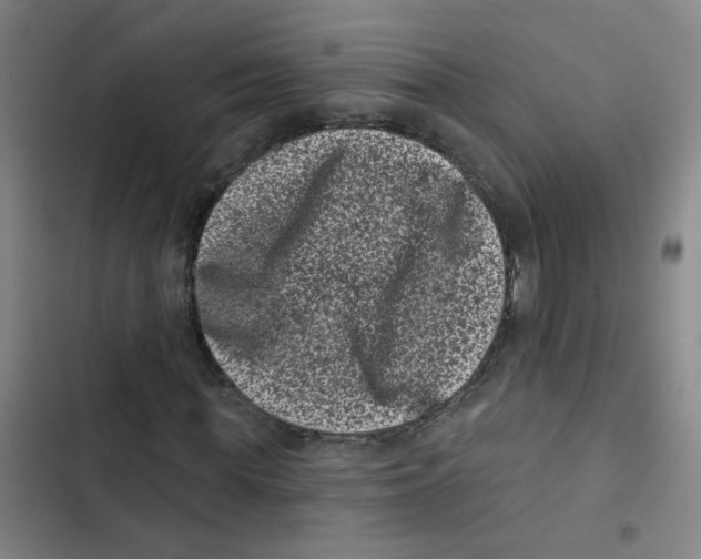 X0000102830819200809151037