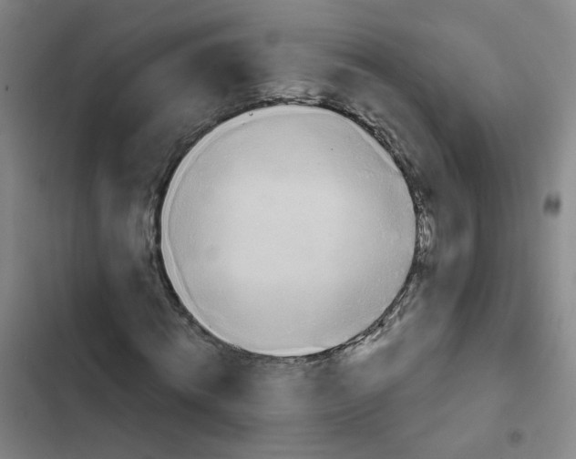 X0000102830820200809151037
