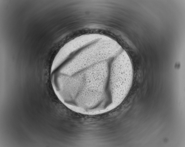 X0000102830821200809151037