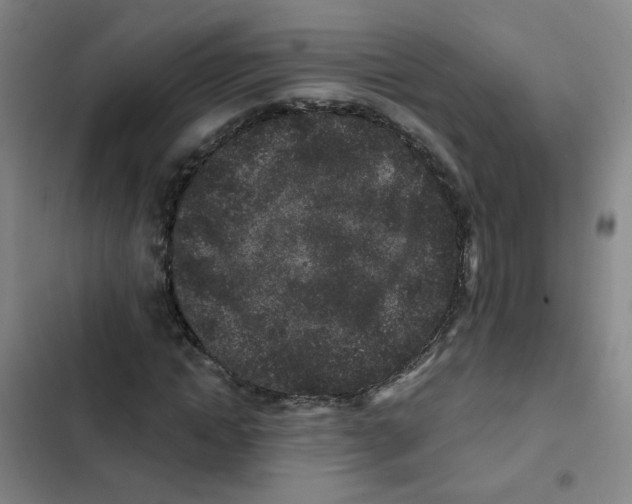 X0000102830822200809151037
