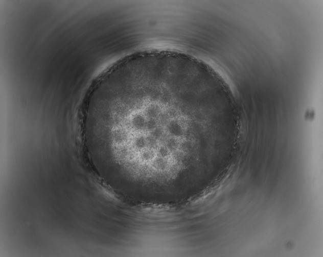 X0000102830823200809151037