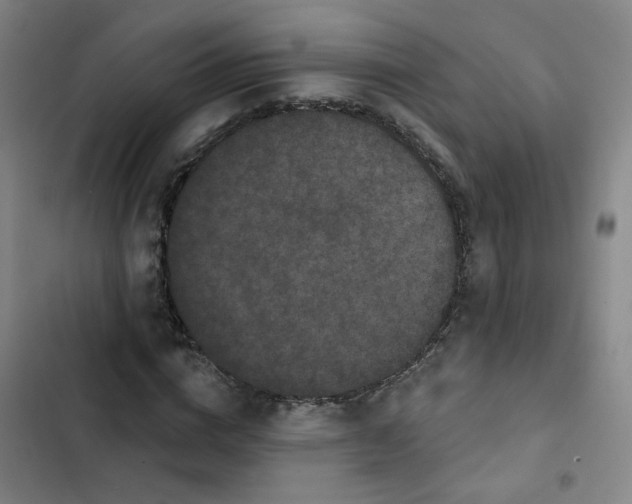X0000102830824200809151037