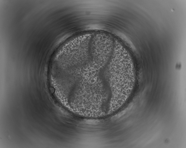X0000102830825200809151037