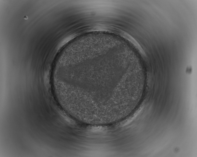 X0000102830826200809151037