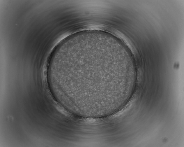 X0000102830827200809151037