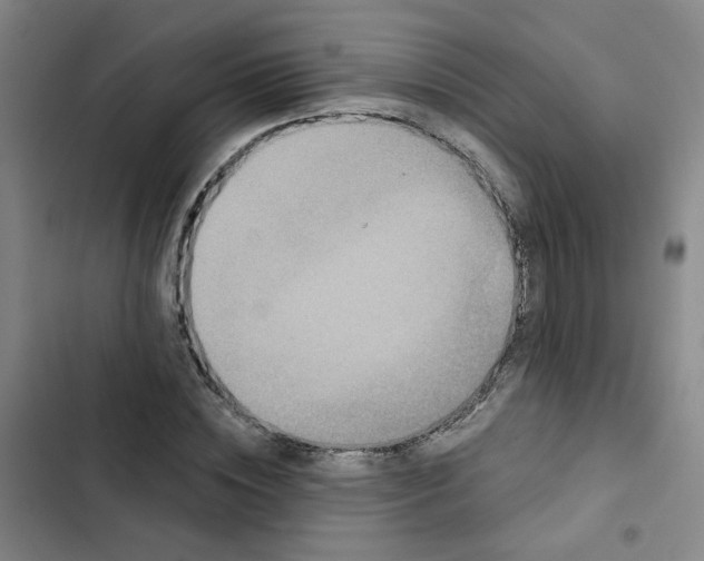 X0000102830828200809151037