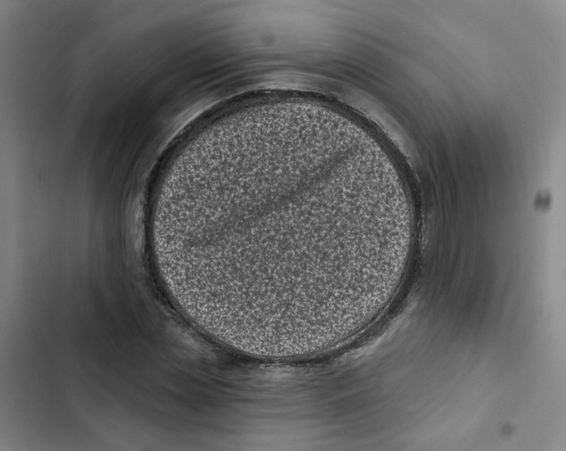 X0000102830829200809151037