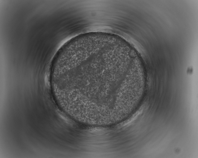 X0000102830830200809151037