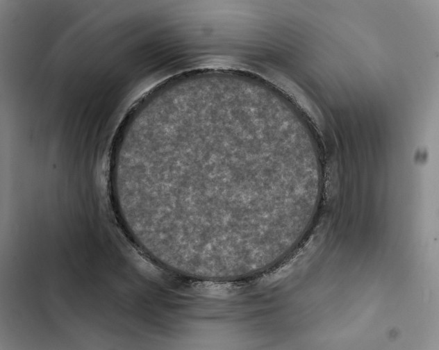 X0000102830831200809151037