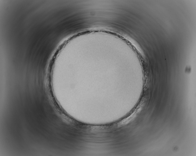 X0000102830832200809151037