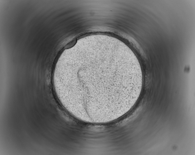 X0000102830833200809151037