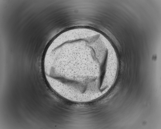 X0000102830834200809151037