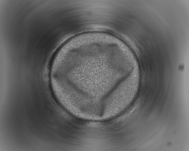 X0000102830835200809151037