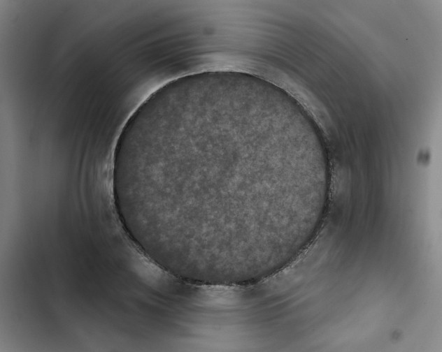 X0000102830836200809151037