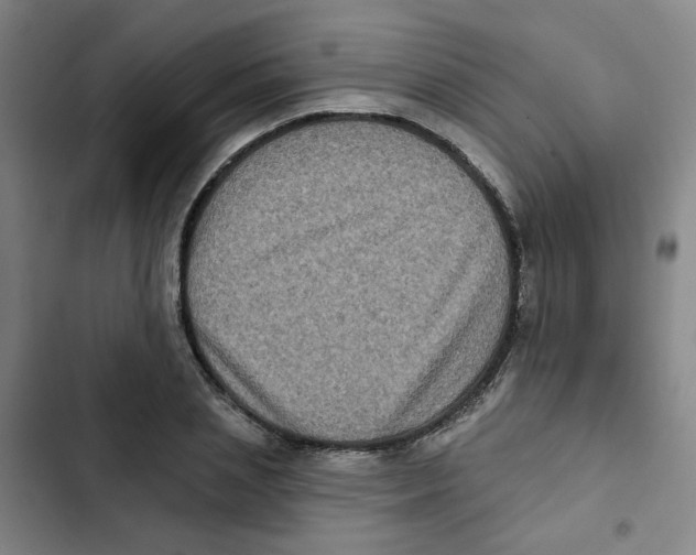 X0000102830837200809151037