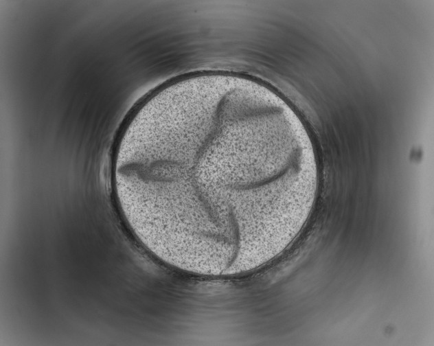 X0000102830838200809151037