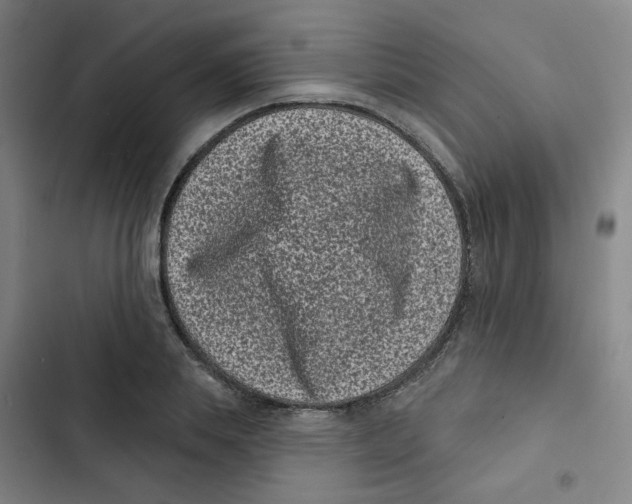 X0000102830839200809151037