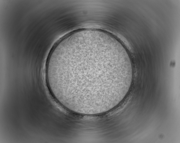 X0000102830840200809151037