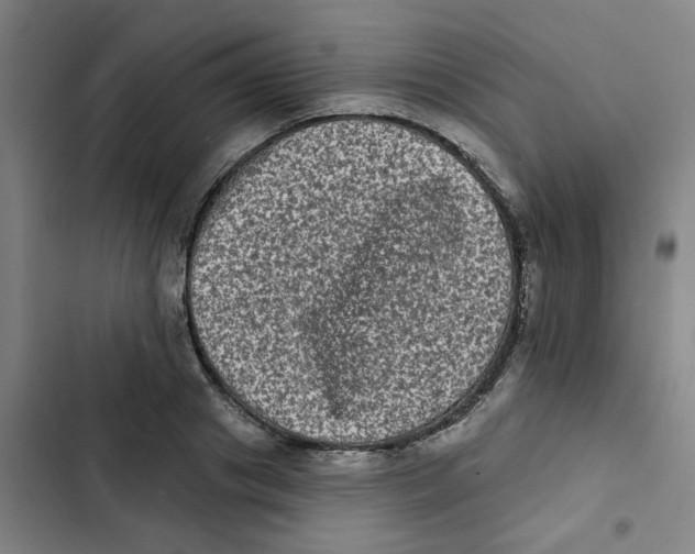 X0000102830841200809151037