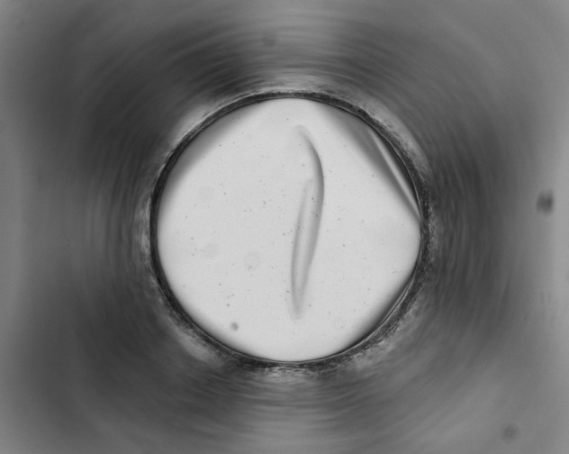 X0000102830842200809151037