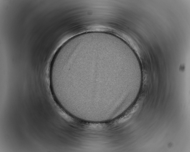 X0000102830843200809151037