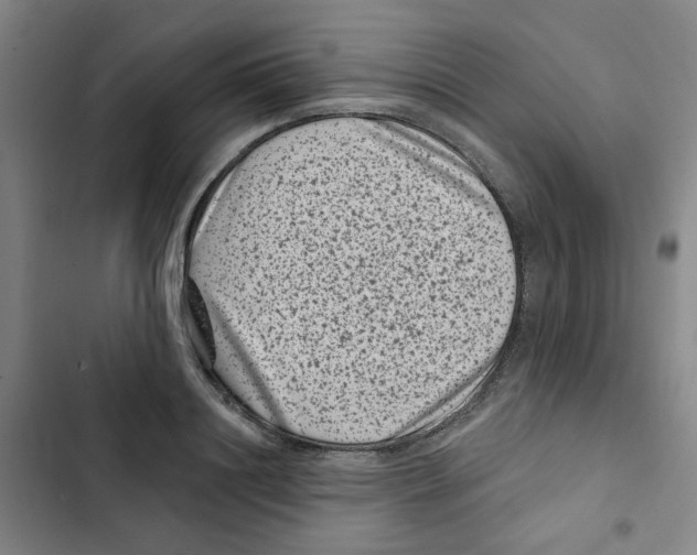 X0000102830844200809151038