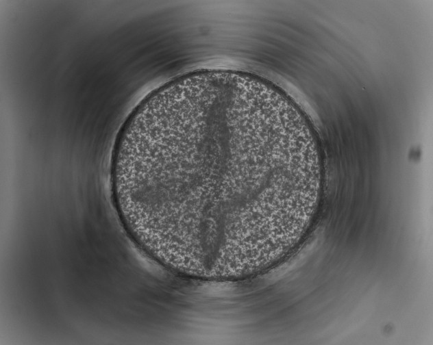 X0000102830845200809151038
