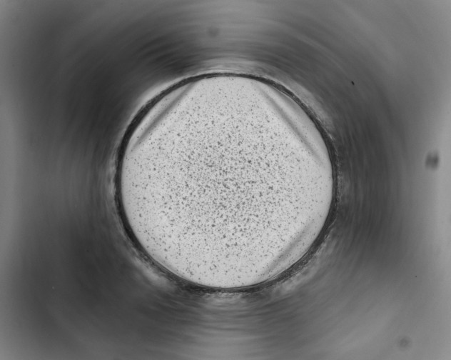 X0000102830846200809151038