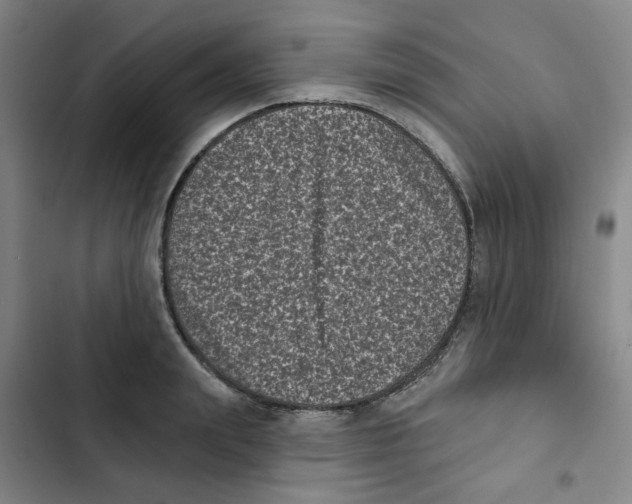 X0000102830847200809151038