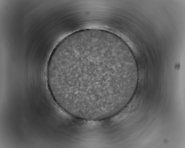 X0000102830848200809151038