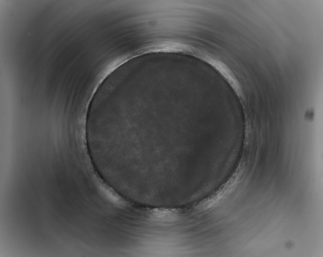 X0000102830850200809151038