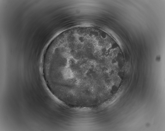 X0000102830851200809151038