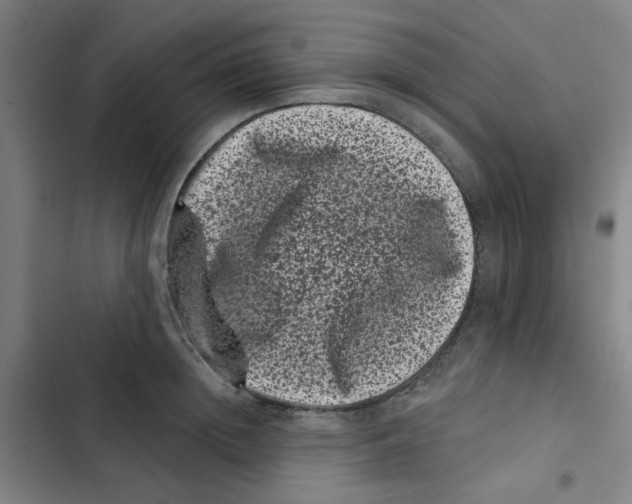 X0000102830852200809151038