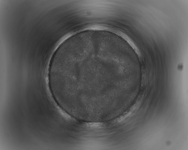 X0000102830853200809151038