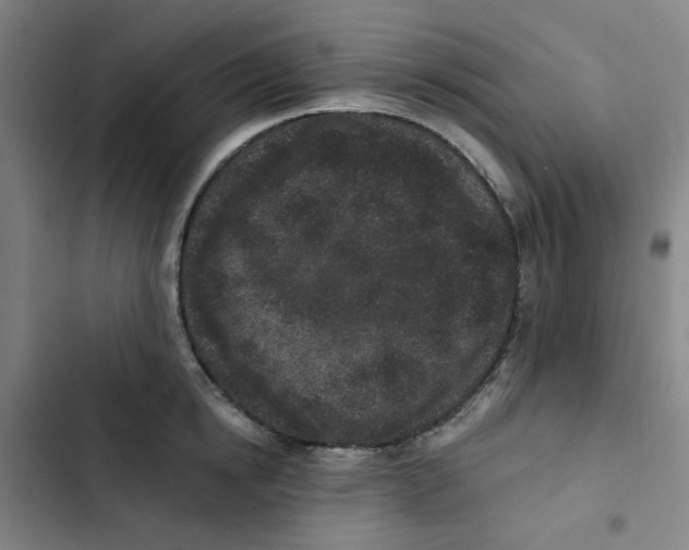X0000102830854200809151038