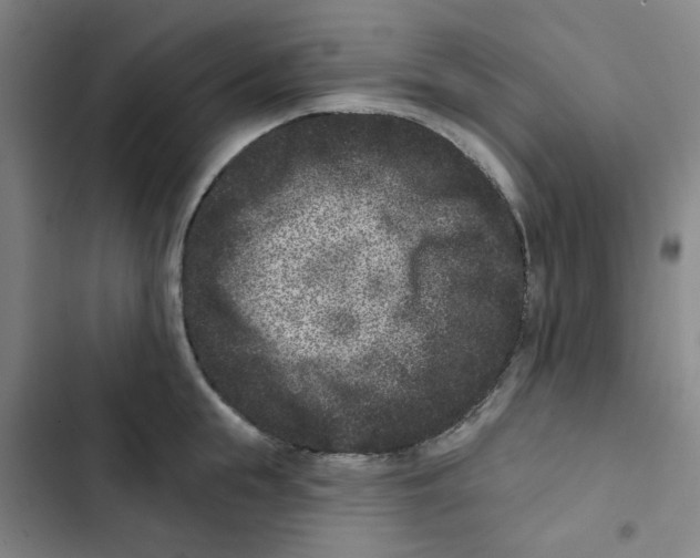 X0000102830855200809151038
