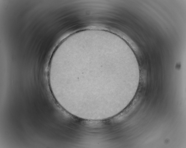 X0000102830856200809151038