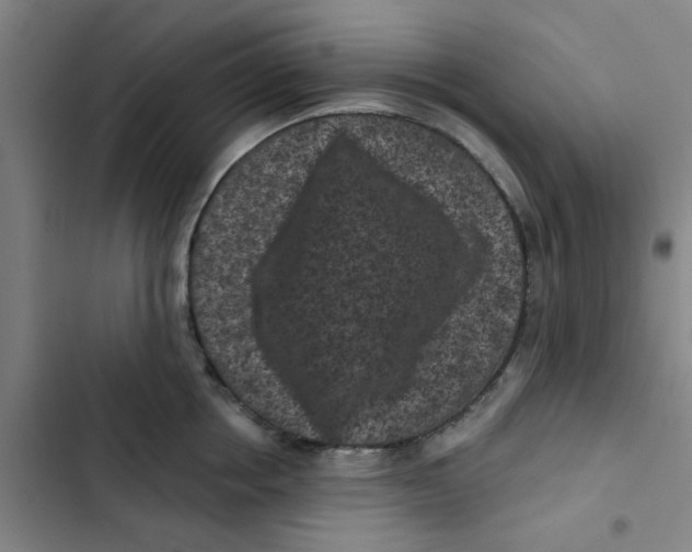 X0000102830858200809151038