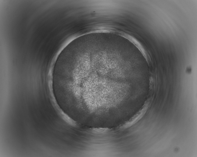 X0000102830859200809151038