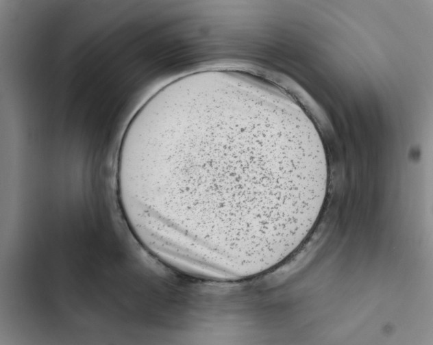 X0000102830860200809151038
