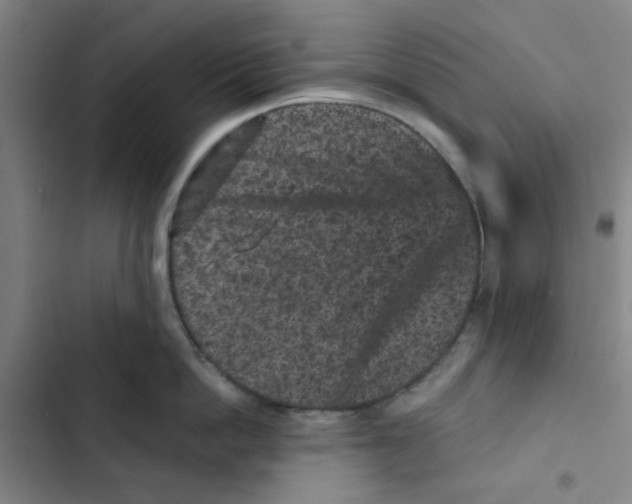 X0000102830862200809151038