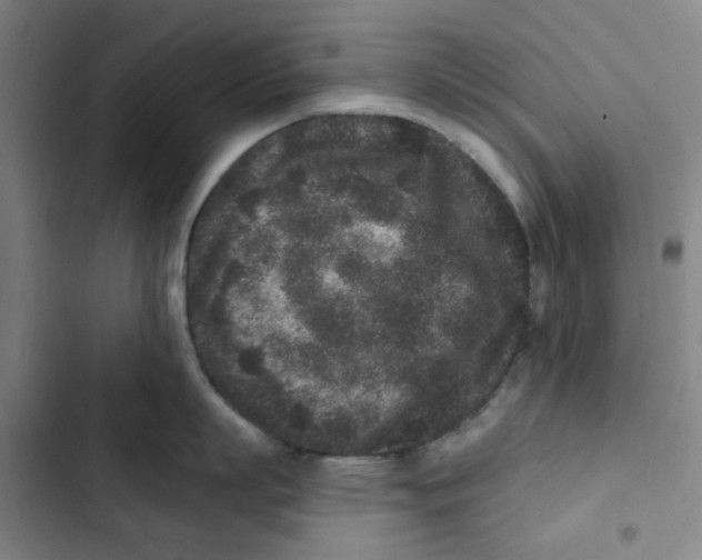 X0000102830863200809151038